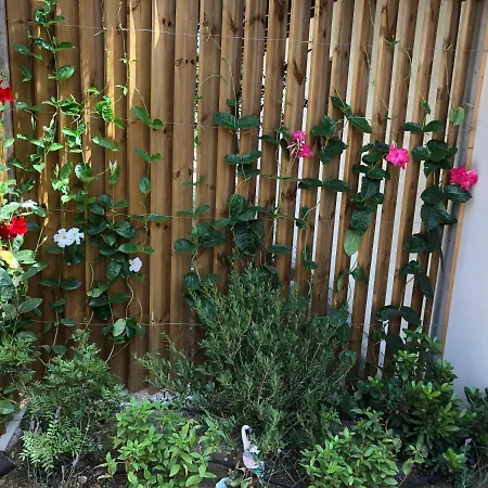 La Verda * Bonifacio (Corsica)