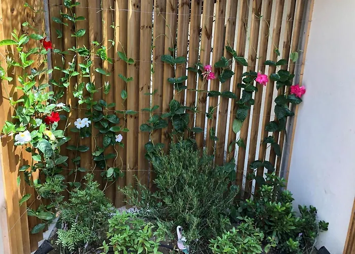 La Verda * Bonifacio (Corsica)